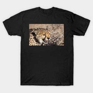 Cheetah face. T-Shirt